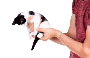 Black and white kitten in the hands of an adult man