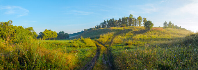 Sunny summer landscape with fork in rural road.