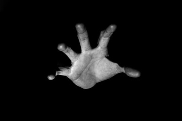 hands black and white background