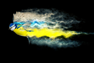 Abstract nature. Flying bird. Dispersion effect. Black background. 