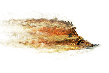 Abstract nature. Flying bird. Dispersion effect. 