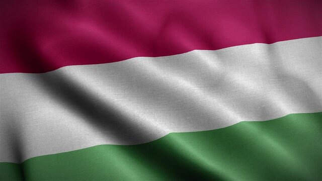 Flag of Hungary Loop 3D