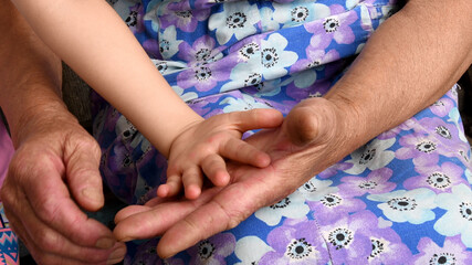 Fototapeta premium Closeup hands of grandchild and grandmother. Old woman and child hands closeup. Grandmother hold little hand of her grandchild small girl. Diverse hands of 4 year old child and 80 year old woman