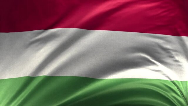Flag of Hungary Loop 3D