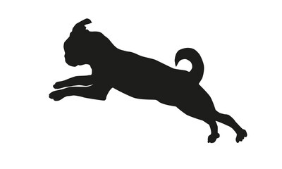Black dog silhouette. Running petit brabancon puppy. Isolated on a white background.