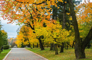 Autumn city park