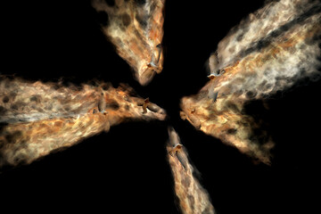 Abstract nature. Flying bird. Dispersion effect. 