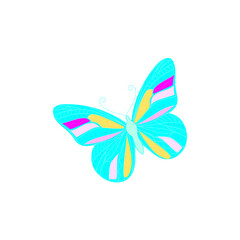 Butterfly print. Butterflies illustration.Beautiful insect.