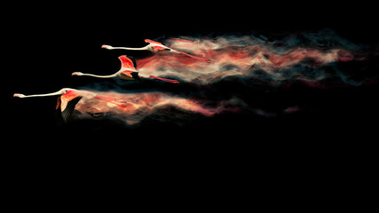 Abstract nature. Flying birds. Dispersion effect. Black background. Flamingos.