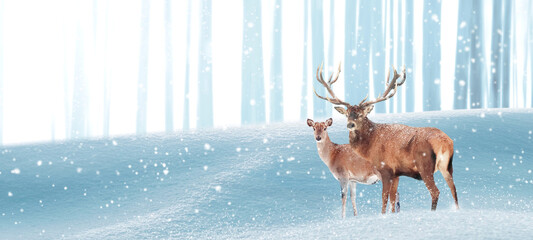 Noble deer in a winter magic forest. Christmas fantastic image. Copy space. Winter wonderland. Banner format.