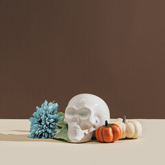 Retro styled still life arrangement with pumpkins, skull, flower  and hard shadows. Halloween holiday theme creative concept. Autumn colors. Copy space.