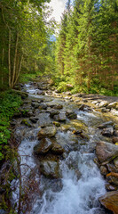 Mountain creek flowing above stones through a forest in the Lesachvalley of Carinthia, Austria