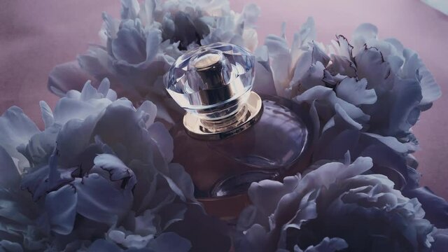 Purple perfume bottle with peony flowers, chic fragrance scent as luxury cosmetic, fashion and beauty product background, stock footage