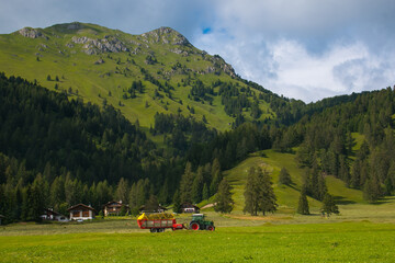 Summer view of Bellamonte mountain village in Trentino Alto-Adige, Italy
