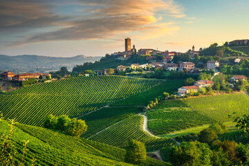Barbaresco village and Langhe vineyards, Piedmont, Italy Europe. - obrazy, fototapety, plakaty