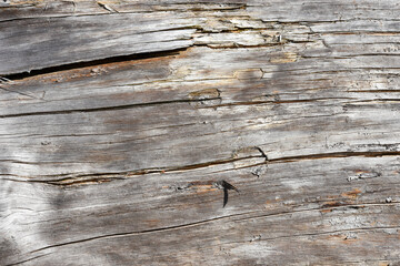 old wood texture