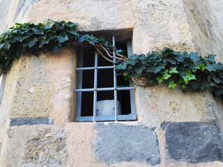 fen&ecirc;tre au lierre