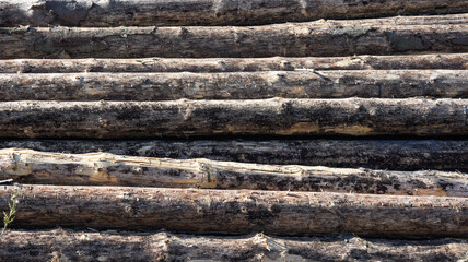 pile of firewood