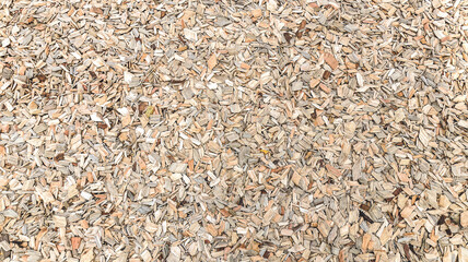 Mulch texture background of fresh wood chips