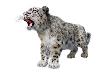 3D Rendering Snow Leopard on White
