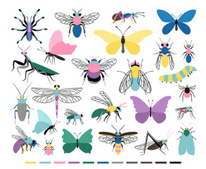 Cartoon insect set. Cute small creatures of entomology science, vector illustration of colored caterpillars and butterflies icons isolated on white background
