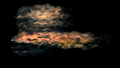 Abstract nature. Flying bird. Dispersion effect. 