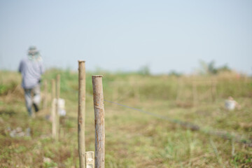 Asian worker working with ground leveling by using string line