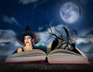 Fantasy world. Open book of fairytales with witch and black crow on pages
