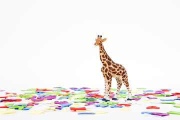 alphabet and animal shape