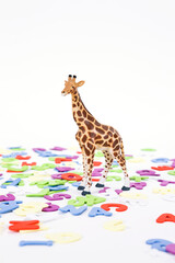 alphabet and animal shape