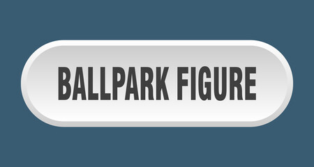 ballpark figure button. rounded sign on white background