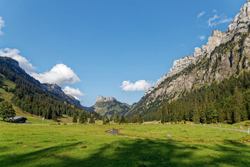 Paysage des Alpes Suisses