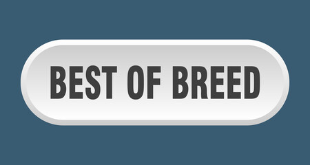 best of breed button. rounded sign on white background
