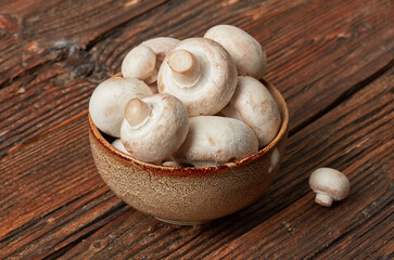 Forest picked mushrooms in a bowl