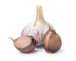 Fototapeta premium Head and cloves of garlic