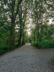 path in the park