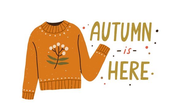 Autumn is here colorful lettering composition with warm knitted sweater vector flat illustration. Creative seasonal fall clothes decorated by branch with leaves and berries isolated on white