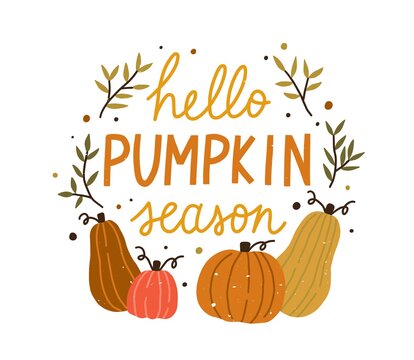 Hello pumpkin season cute colorful composition with quote inscription vector flat illustration. Colorful autumn hand drawn lettering decorated with design elements isolated. Creative fall phrase
