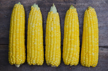 Fresh Organic Sweet Corn for Food Ingredient.