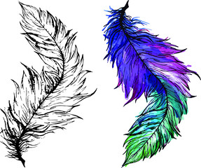 Realistic bird feather template set. Vector illustration in watercolor and black and white for games, background, pattern, decor. Coloring paper, page, book. Print for fabrics and other surfaces.