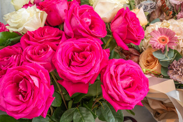 Background from Bouquet of roses and other flowers, close up, selective focus