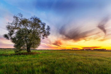 Fototapeta na wymiar Summer sunset over the fields