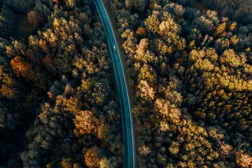 Luftaufnahme der unbefestigten Straße, die durch den Wald führt. © smiltena