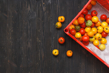 Tomatoes in a box. Ripe tomatoes in a container. Top view, flat lay, still life on black wooden background