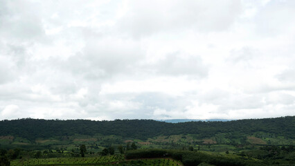 Landscape mountain tree green in the morning beautifu white clouds background,Copy Space, Panorama view..