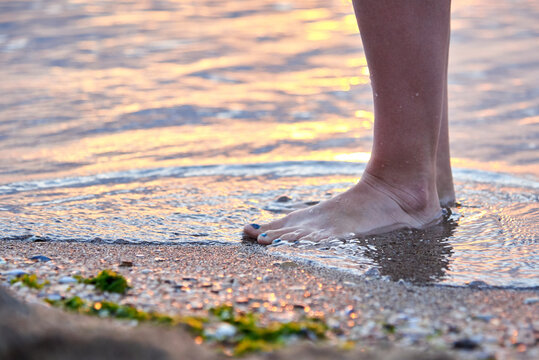 Legs of a woman who walks on the water on the beach at sea at sunrise.