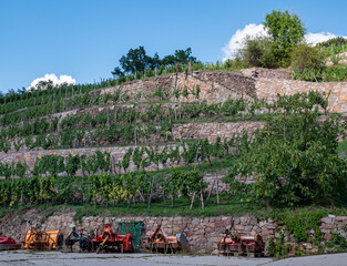 Weinberge in Sachsen Deutschland