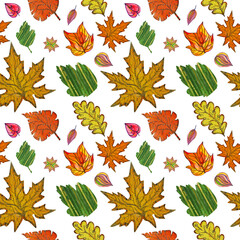 Seamless pattern watercolor leaves autumn pattern on isolated background.