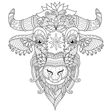 Antistress coloring cow face, cow head.