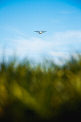 Airplane in the sky over a grass field